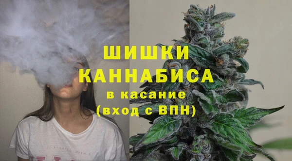 соль ск Краснослободск