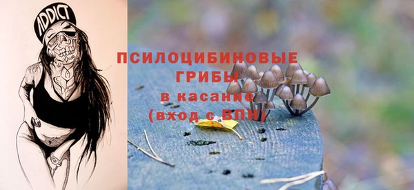 спиды Кукмор