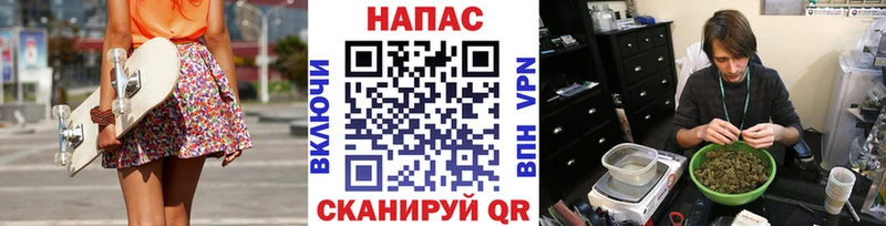 блэк спрут онион  Малгобек  Шишки марихуана семена 